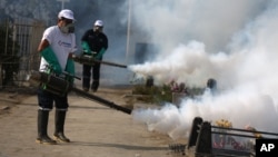 FILE - Health workers fumigate to prevent Dengue, Chikunguya and Zika virus, at El Angel cemetery, in Lima, Peru, Jan 20, 2016. 