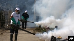 FILE - Health workers fumigate to prevent Dengue, Chikunguya and Zika virus, at El Angel cemetery, in Lima, Peru, Jan 20, 2016. 