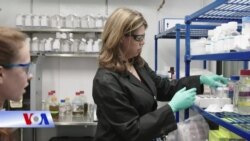 Virus corona từ góc nhìn khoa học