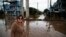 FILE - Orioplina Bechiln, a street barbecue vendor, walks along a flooded street around the Arena do Gremio stadium in Porto Alegre, Rio Grande do Sul State, Brazil, on May 29, 2024.