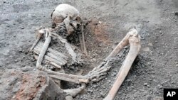 Uno de dos esqueletos descubiertos que los arqueólogos creen que fueron de unos hombres que murieron cuando un muro se derrumbó durante los poderosos terremotos que acompañaron la erupción del monte Vesubio que destruyó la antigua ciudad de Pompeya en el año 79 de Nuestra Era.