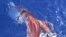 FILE - A researcher with Japan's National Science Museum, a giant squid attacking a bait squid is being pulled up by his research team off the Ogasawara Islands, south of Tokyo.