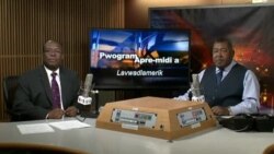 Pwogram aprè-midi a TV