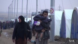 Families Flee Mosul Offensive to Winter Chill in Camps