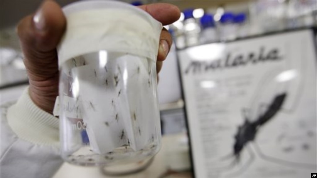 Prevalensi malaria di Indonesia masih mencapai lebih dari 400.000 kasus, sebagian besar di wilayah Indonesia timur. (Foto: Dok)
