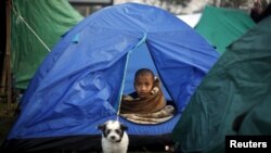 A boy sits inside a tent on an open ground, after Saturday's earthquake in Kathmandu, Nepal early April 29, 2015. 