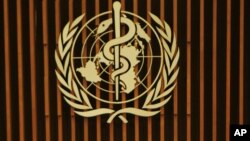 Một thành viên trong Đoàn Ca múa của Hạm đội Hắc Hải của Nga biểu diễn trong một cuộc mít tinh ở Simferopol, Crimea, 9/3/14