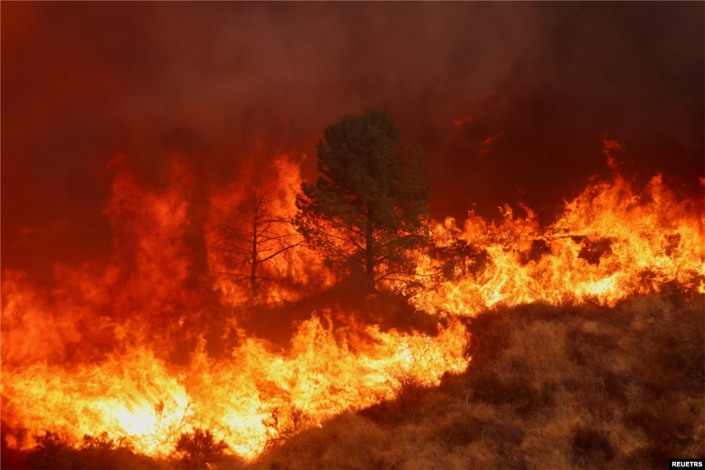 wildfire near Los Angeles / آتش‌سوزی در نزدیکی لس‌آنجلس