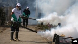 Limpieza y fumigaciones son los medios para luchar contra la transmisión del Zika