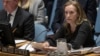США призвали ООН потребовать прекращения огня в Восточной Гуте