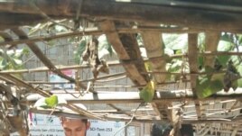 Caregiver Guidance Notes Dictribution in Rohingya Refugee Camp, Cox's Bazar, Bangladesh