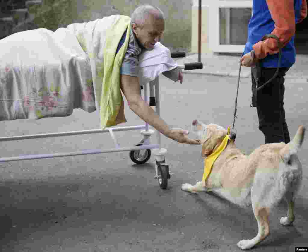 A wounded Ukrainian serviceman plays with a dog at a compound of the main military hospital in Kyiv.&nbsp; A charity project initiated by the Canadian organizations, MSAR Service Dogs and Courageous Companions, provides training of service dogs for psychological rehabilitation of servicemen and veterans of the anti-terrorist operation in eastern Ukraine.