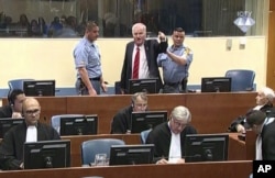 Bosnian Serb military chief Ratko Mladic during an angry outburst in the Yugoslav War Crimes Tribunal in The Hague, Netherlands, Nov. 22, 2017. (ICTY via AP)