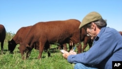 Massachusetts beef farmer Ridge Shinn uses holistic herding to reduce his carbon footprint.