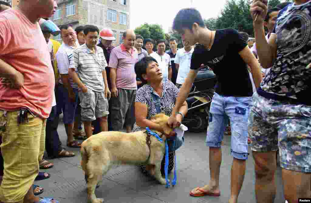 An animal activist (C) kneels down as she offers to buy a dog from a vendor (2nd R) to stop it from being eaten ahead of the annual dog meat festival in Yulin, Guangxi Zhuang Autonomous Region, China, June 20, 2014.