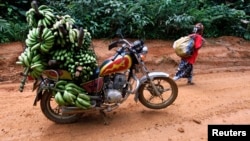 FILE - A motorbike taxi laden with locally-picked bananas is seen parked on the dirt track between the town of Mundemba and the village of Fabe, June 8, 2012. 