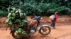 Cameroun : attendez avant de planter (le gouvernement aux agriculteurs)