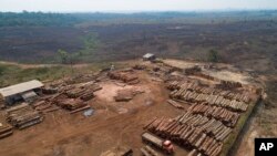 Unos troncos son apilados en un aserradero rodeado de campos recientemente carbonizados y deforestados cerca de Porto Velho, estado de Rondonia, Brasil, 2 de septiembre de 2019. 