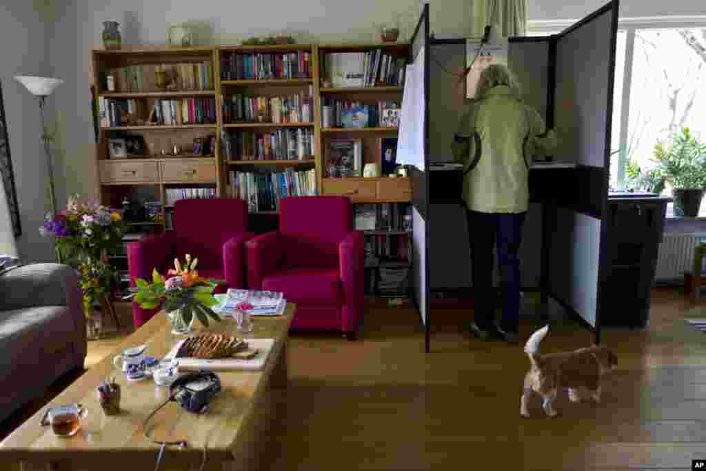 A woman votes at a polling station set up in the living room of a home in Marle, the Netherlands. The Dutch go to the polls in a parliamentary election.