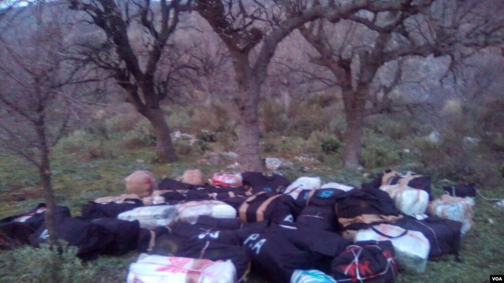 Shqipëri: Bllokohen sasi të mëdha marijuane