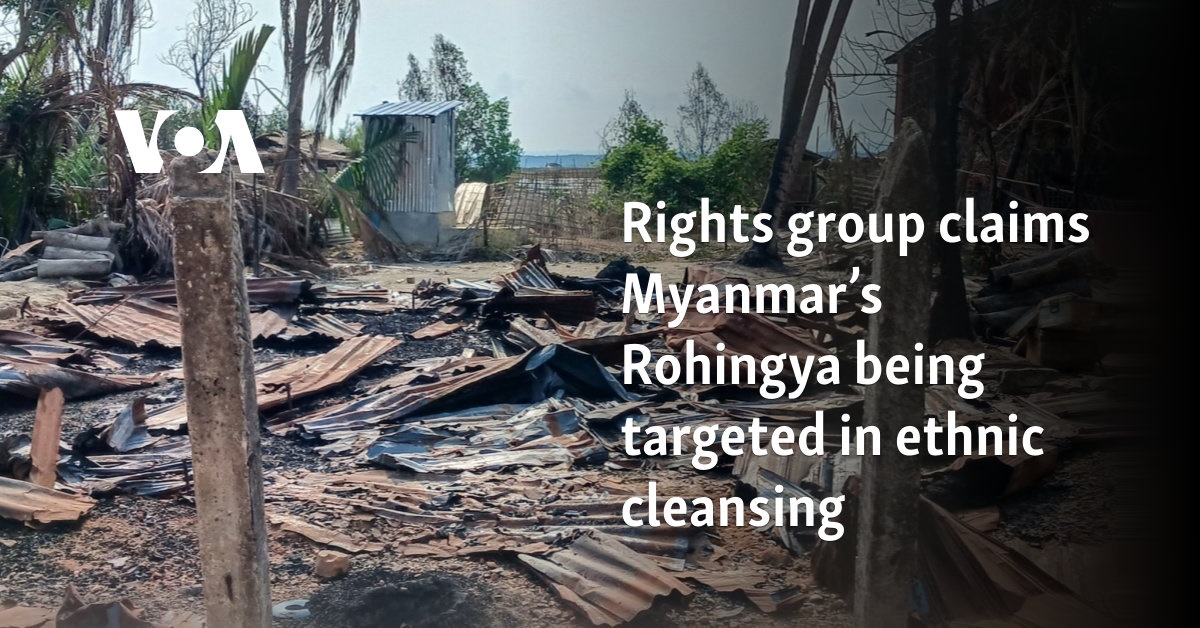 Rights group claims Myanmar’s Rohingya being targeted in ethnic cleansing  