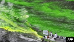 Sông Chicago được nhuộm màu xanh lá cây trước cuộc diễu hành mừng lễ St. Patrick
