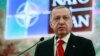 Эрдоган грозит отвергнуть план НАТО по защите стран Балтии