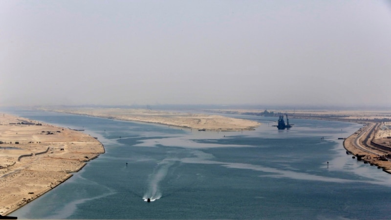 Invasive Animals Passing Through Suez Canal to Mediterranean Sea