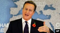 FILE - Britain's Prime Minister David Cameron, Nov. 10, 2015. 