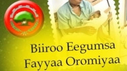 Mootummaan Naannoo Oromiyaa Tatamsa’ina Koronaa To’achuuf Wiirtuulee Fayyaa fi Hospitaalota Qopheessuu Beeksise