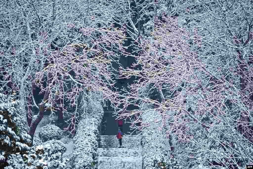 چین آنے والے سیاحوں کے لیے برف باری کا نظارہ انتہائی پرکشش ہے۔