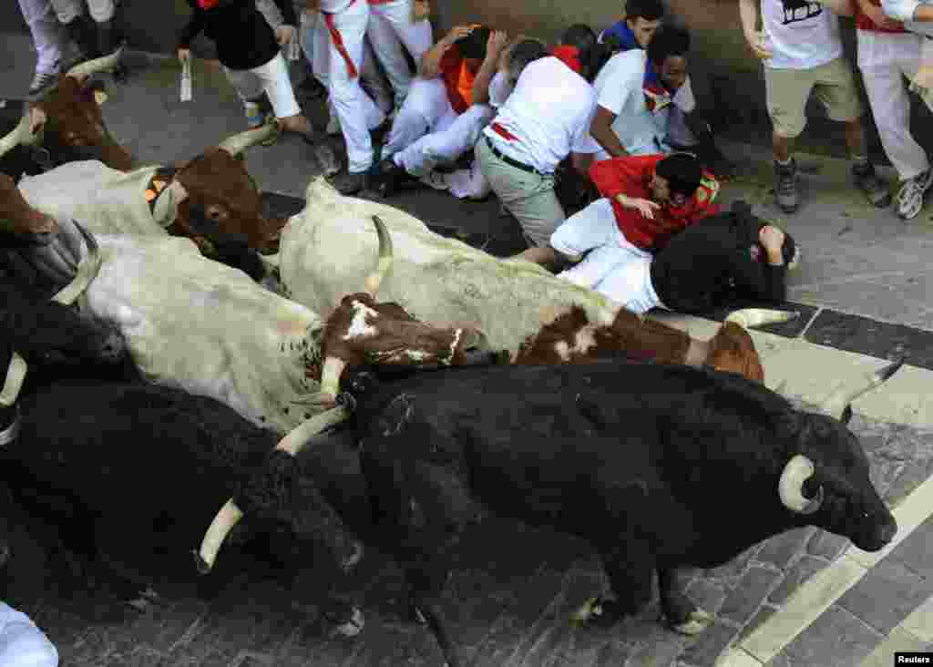 Runners fall next to Valdefresno fighting bulls on Santo Domingo hill during the third running of the bulls of the San Fermin festival in Pamplona July 9, 2013. Two runners were treated in hospital for bruising following the run that lasted two minutes an