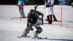 Quiz - Olympic Ready? Robot Skiers Compete in South Korea