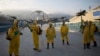Эксперты предупреждают об опасности проведения Олимпиады в Бразилии из-за вируса Зика