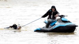 Cows that were stuck in a flood are rescued by a group of people after rainstorms hit the western Canadian province of British Columbia, starting landslides and floods, closing highways, in Abbotsford, British Columbia on Canada November 16, 2021. (REUTERS/Jennifer Gauthier)