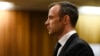 Pistorius Appeals Murder Conviction in S. Africa's Top Court