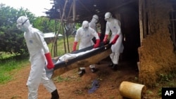 Petugas kesehatan mengangkut seorang pria yang sedang sekarat akibat ebola di Monrovia, Liberia (8/11). Korban tewas ebola telah melampaui 5.000 jiwa menurut WHO.