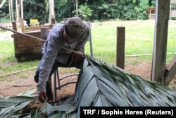A man shows how to thread plant leaves onto a pole to make thatched roofing at the Siwakabata agro-ecology farm, Talamanca, Costa Rica, May 10, 2018.