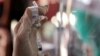 Malaysia: Vắc-xin AstraZeneca ‘an toàn’, thích hợp sử dụng cho người trên 60 tuổi