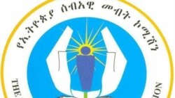 የአርቲስት ሃጫሉን ግድያ ተከትሎ በሰብዓዊነት ላይ ወንጀል የፈፀሙ ሕግ ፊት እንዲቀርቡ ኢሰመኮ ጠየቀ