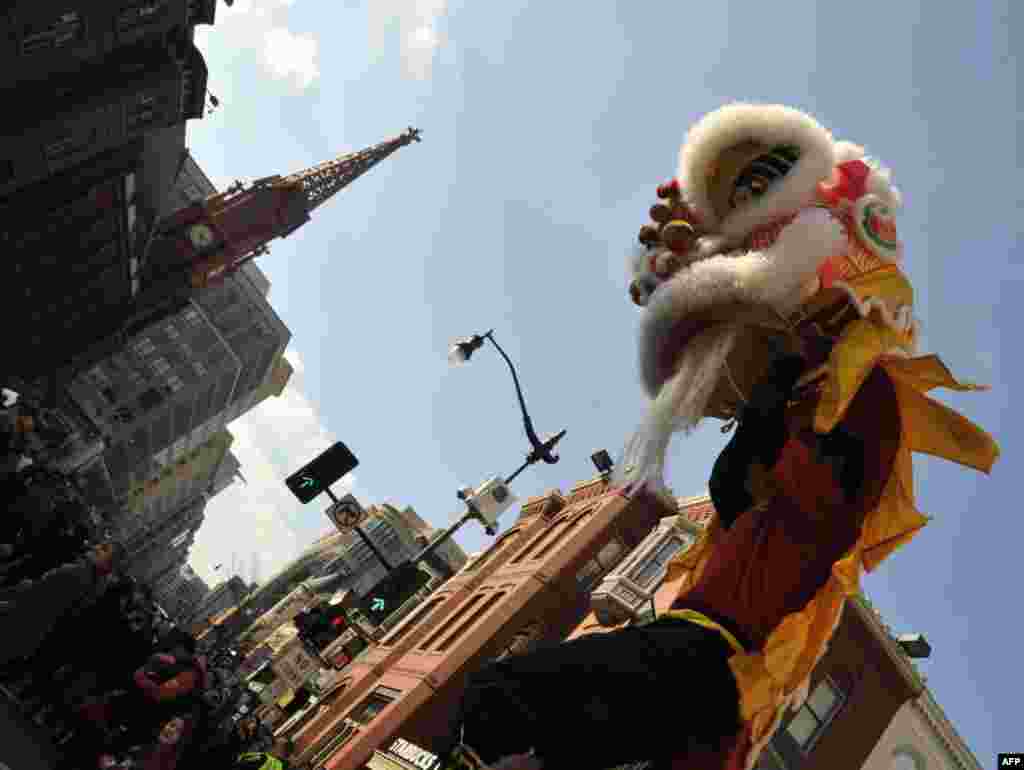 «Овечкин» и китайский новый год