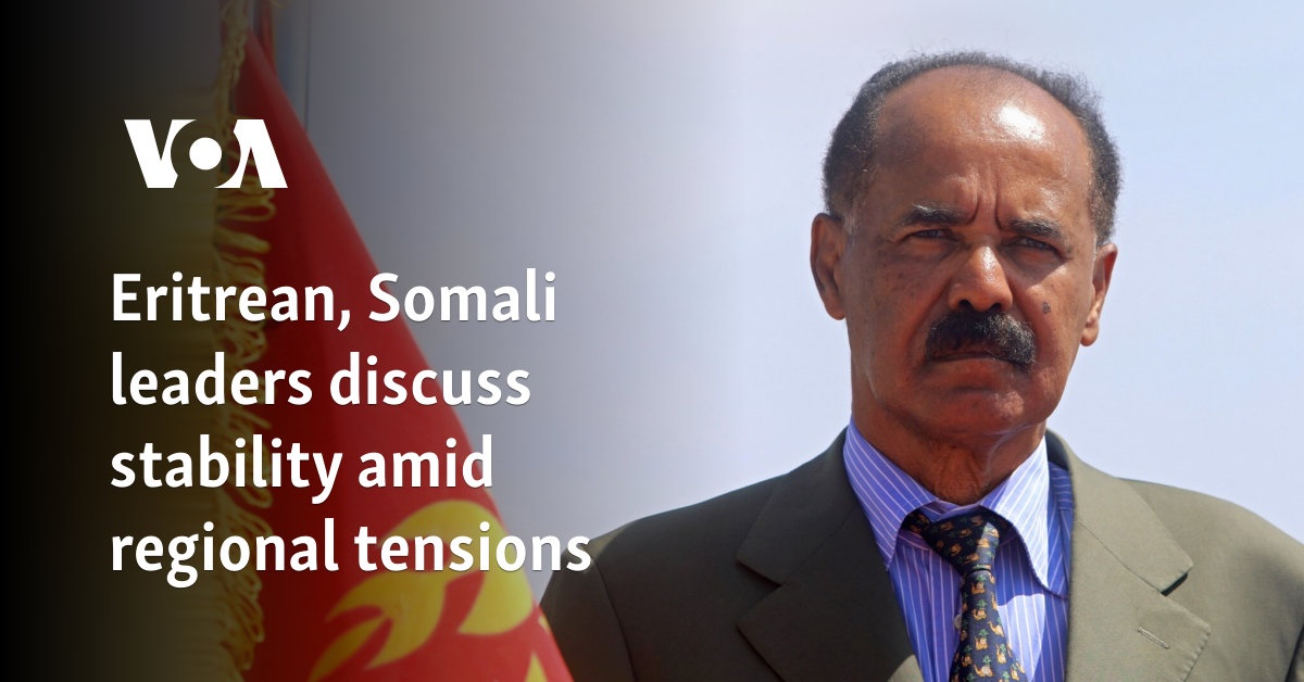 Eritrean, Somali leaders discuss stability amid regional tensions