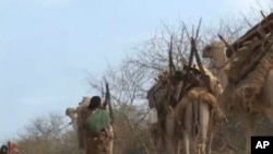 Scene in drought striken northern Kenya