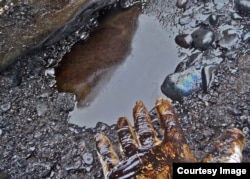 Lingering oil is apparent in shoreline sediments on Prince William Sound, Sept. 2013. (Credit: D. Janka)