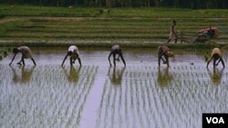 Book by Sir Gordon Conway examines world hunger and its remedies.