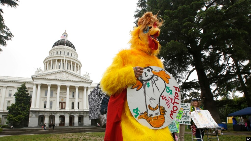 Hình "Chicken Don" trong cuộc biểu tình đòi tổng thống Trump công bố thông tin thuế ở Sacramento, California, 12/4/2017