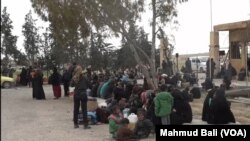 Sivîlên ku ji destê DAIŞ'ê hatine rizgar kirin (Arşîv)