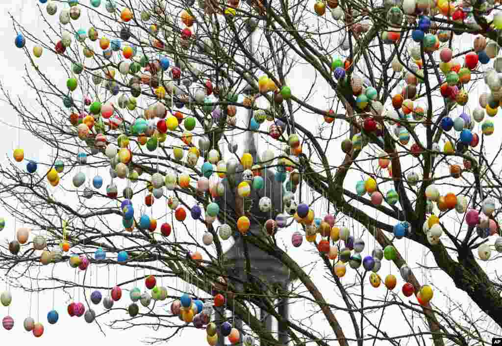 A robina tree, currently decorated with 7,000 painted Easter eggs, stands in front of the city gate tower in Saalfeld, Germany.
