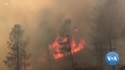Scientists: Climate Change Making Western Wildfires Worse
