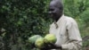 Smallholder Farmer in South Sudan has Big Dreams